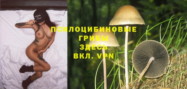 кристаллы Богданович