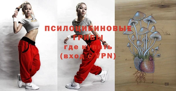 кристаллы Богданович