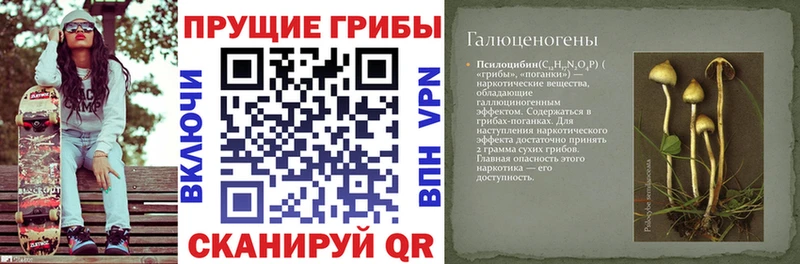Купить  Беломорск  Галлюциногенные грибы прущие грибы 